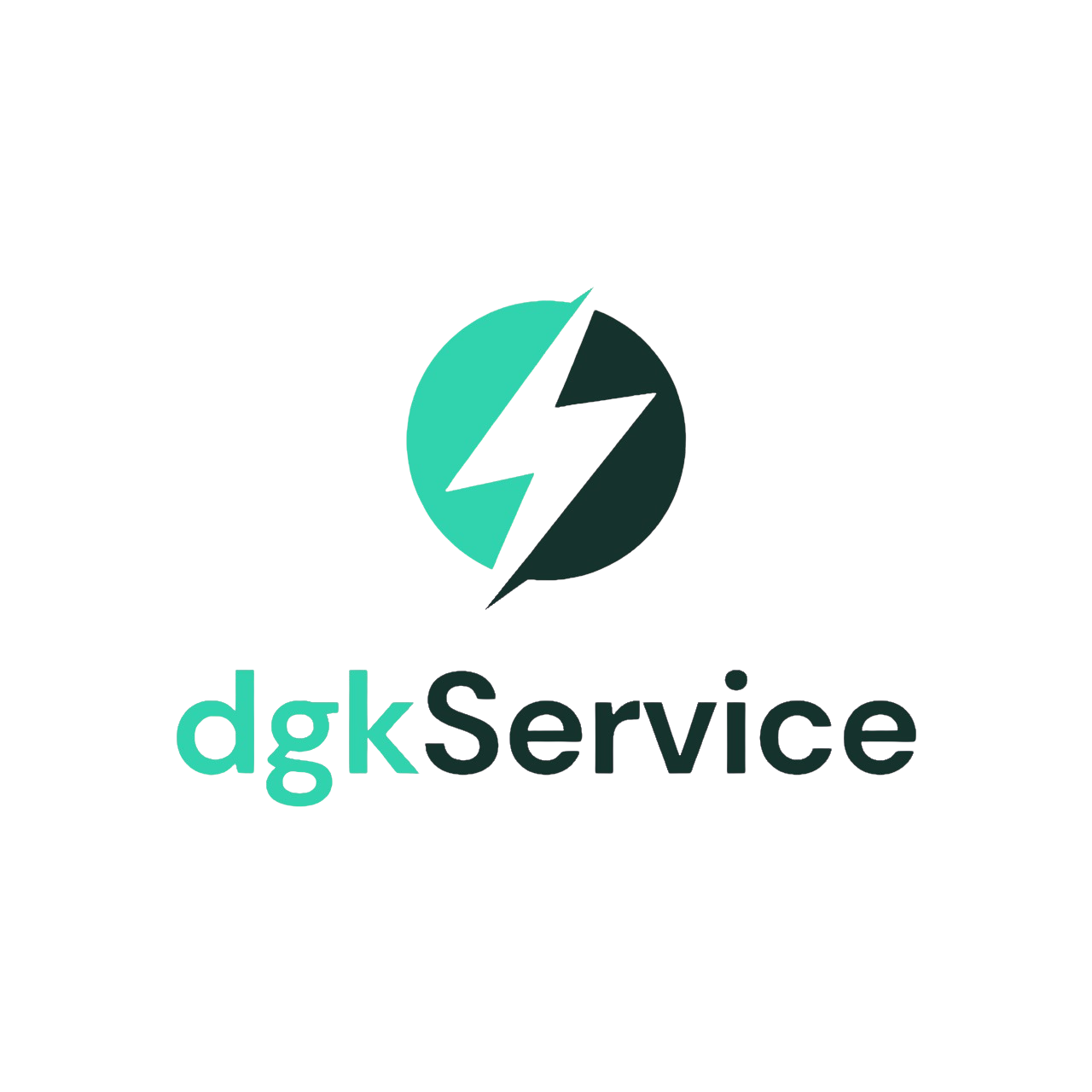 DGKSERVICE.png
